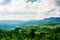 The vast moist green forest in Thailand.