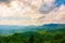 The vast moist green forest in Thailand.