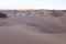 The vast orange dunes of the Sahara desert and its barren vegetation