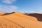 The vast orange dunes of the Sahara desert and its barren vegetation