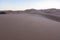 The vast orange dunes of the Sahara desert and its barren vegetation