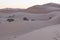 The vast orange dunes of the Sahara desert and its barren vegetation