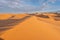 The vast orange dunes of the Sahara desert and its barren vegetation