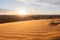 The vast orange dunes of the Sahara desert and its barren vegetation