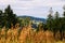 Vast panorama view from the forested hill in the Owl Mountains Landscape Park, Sudetes, Poland.