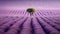 A vast and serene lavender field stretching out into the distance, a tree in the middle of the lavender field