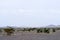 Vast valley of black stones, Atlas mountains, Morocco