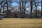 Vast yellow winter grass surrounded by bare winter trees with blue sky and clouds at Memphis Botanic Garden