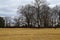 Vast yellow winter grass surrounded by bare winter trees with blue sky and clouds at Memphis Botanic Garden