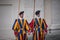 VATICAN CITY, VATICAN - SEPTEMBER 3: Famous Swiss Guard surveil basilica entrance on September 3, 2014 in Vatican. The Papal Guard