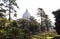 Vatican garden, trees, flower beds, St. Peter`s dome in Rome