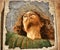 The Vatican Museum. Picture. Jesus