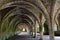 Vaulting in old cellar