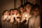 Vaxjo, Sweden - December, 2017: The swedish tradition of Lucia is celebrated in Vaxjo church with song, candles and white gowns