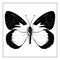 Vecor butterfly. Abstract insect silhouette black and white illustration