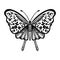 Vecor butterfly. Abstract insect silhouette black and white illustration