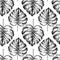 Vecotr hand drawn seamless pattern. tropical plants. Exotic engraved leaves and flowers. Isoalated on white. Monstera