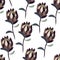 Vectir seamless pattern with protea or artichoke flowers