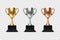 Vector 3d Blank Golden, Silver and Bronze Champion Cup Icon Set Closeup Isolated. Design Template of Championship Trophy