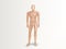 Vector 3d male mannequin, nude plastic dummy