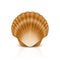 Vector 3d Realistic Brown Closed Scallop Pearl Seashell Icon Closeup Isolated on White Background. Design Template