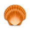 Vector 3d Realistic Brown Closed Scallop Pearl Seashell Icon Closeup Isolated on White Background. Design Template. Top