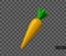 Vector 3d realistic carrot. Ceramic decorative object