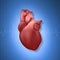 Vector 3d Realistic Glowing Health Heart Model with a Pulse Line Closeup on Blue Science Lined Checkered Medical