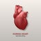 Vector 3d Realistic Glowing Health Heart Model with a Pulse Line Closeup, Medical Background . Design Template of Human