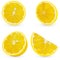 Vector 3d realistic sliced lemon. Isolated sliced lemon on white backgrpund. Citrus halves.