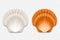 Vector 3d Realistic White and Brown Textured Closed Scallop Pearl Seashell Icon Set Closeup Isolated on Transparent