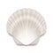 Vector 3d Realistic White Closed Scallop Pearl Seashell Icon Closeup Isolated on White Background. Design Template. Top