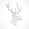 Vector. Abstract polygonal the head of a deer. Geometric linear animal