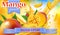 Vector ads 3d promotion banner, Realistic mango fruit splashing