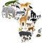 Vector Africa fauna map, flat elements. Animals, birds, reptiles, insects big set. Geography infographic