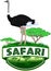 Vector african savannah safari emblem with ostrich