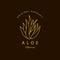 Vector aloe logo design templates and emblem. Beauty and cosmetics oils - aloe. Natural aloe. Logo in linear style