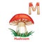 Vector alphabet letter M, coloring page. Mushroom