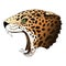 Vector angry leopard portrait. Jaguar predator head colorful isolated