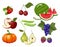Vector apple, pumpkin, sweet cherry, cherry, currant, green pea, grape, watermelon, pear, apple.