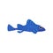 Vector aquarium fish silhouette illustration. Water icon. Underwater ocean fauna. Colorful cartoon flat aquarium fish icon for