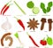 Vector of aromatic Herb, vegetable - Chili, Lemongrass, Kaffir lime, Garlic, Paprika, Star anise, Clove, Tamarind, Coriander roots