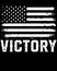 Vector art, depending on for 4th of July, victory of America, t-shirt, wall mat