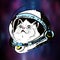 Vector art, sketch, illustration, print on t-shirt, surprised cat in outer helmet in space, tattoo