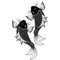 Vector art of two beautiful fishes in balck and white color