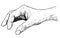 Vector Artistic Illustration or Drawing of Hand Holding Something Small Between Pinch Fingers