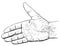 Vector Artistic Illustration or Drawing of Hand Open for Handshake Gesture