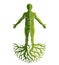 Vector athletic man made with tree roots.