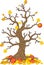Vector autumn apple tree. Tree collection. Tree season