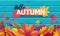 Vector autumn banner. Bouquet of fallen autumn leaves on turquoise background with wooden texture. Text Hello Autumn.